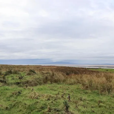 Cherry Croft * ويغتون